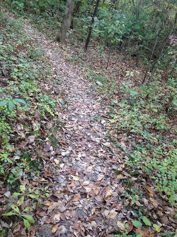 Camper-submitted photo at James Kipp Campground near Winifred, MT