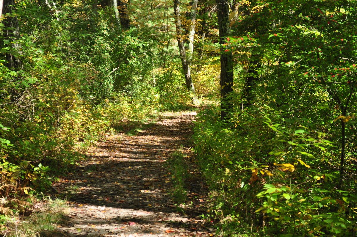 Camper submitted image from James Kipp Campground - 3