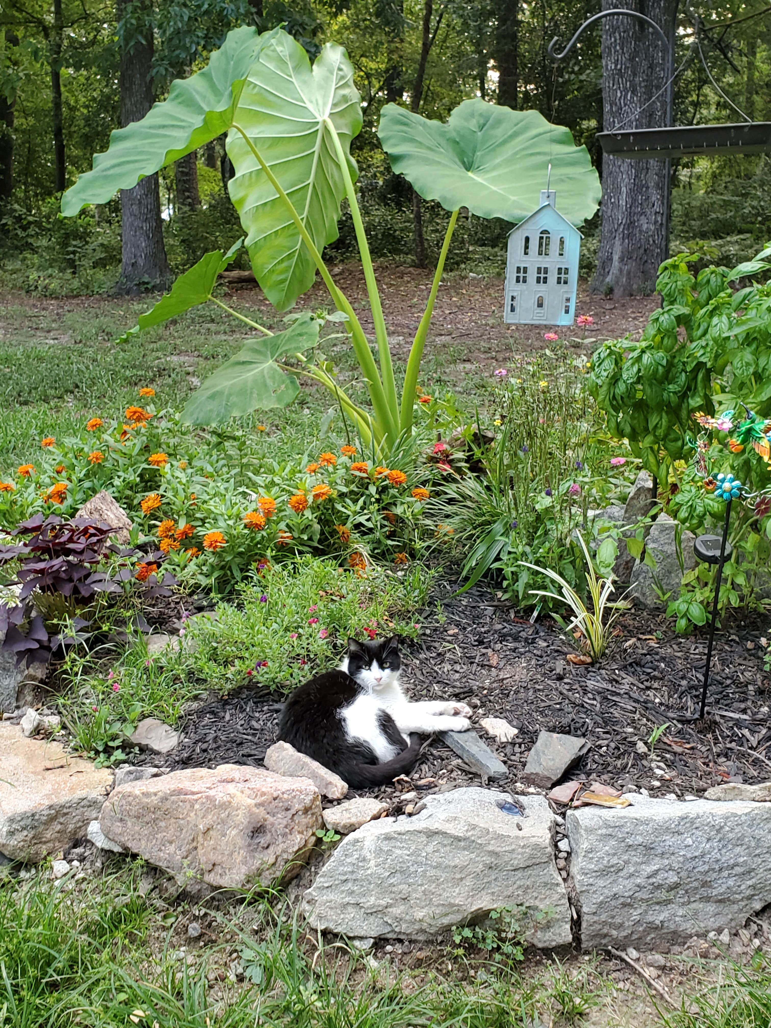 Helen B.'s photo of camping with pets at RV or Camper Spot near Decatur, GA