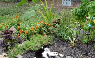 Helen B.'s photo of camping with pets at RV or Camper Spot near Duluth, GA