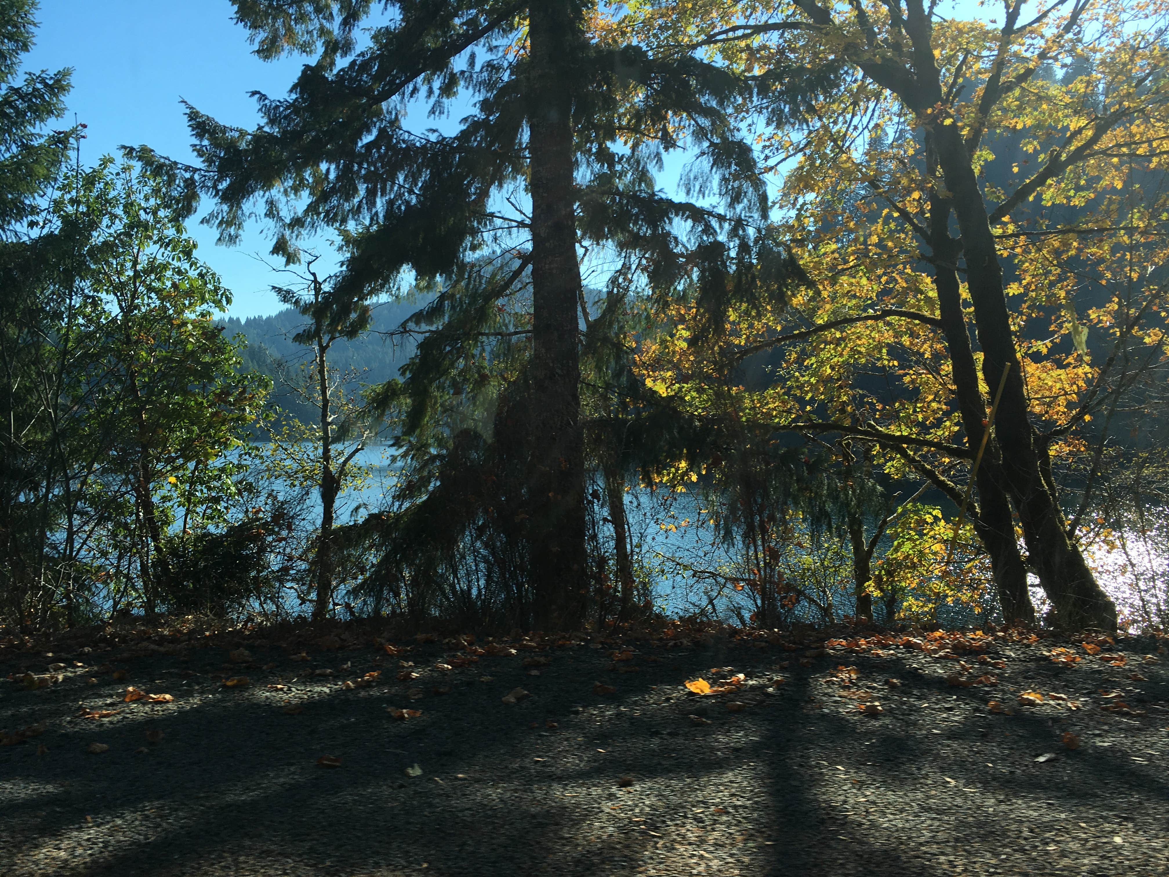 Camper-submitted photo at Loon Lake near Elkton, OR
