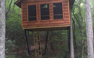 Ashley F.'s photo of a cabin at Fall Getaway for up to 15 people at the Private, Tri-mountain Retreat in Beautiful Ellijay, Georgia near Alpharetta, GA
