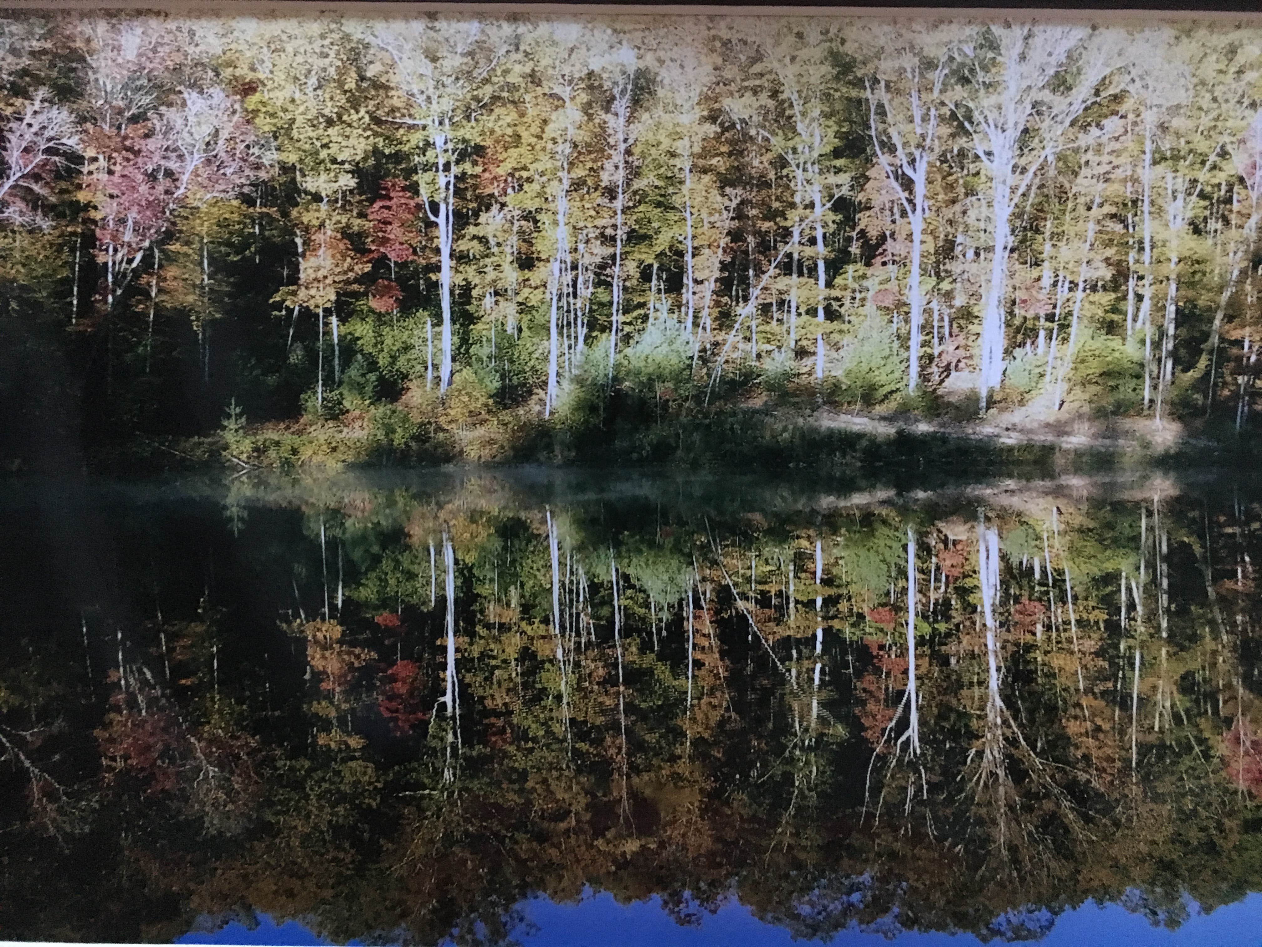 Camping near Navajo: Fall Getaway for up to 15 people at the Private, Tri-mountain Retreat in Beautiful Ellijay, Georgia, Cherry Log, Georgia