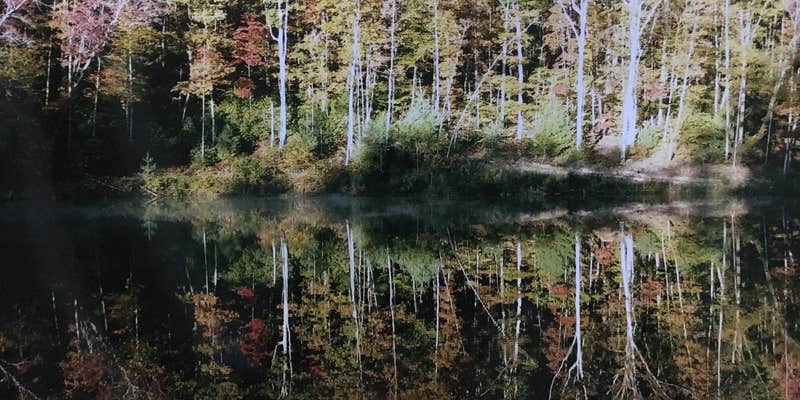 Camper submitted image from Fall Getaway for up to 15 people at the Private, Tri-mountain Retreat in Beautiful Ellijay, Georgia