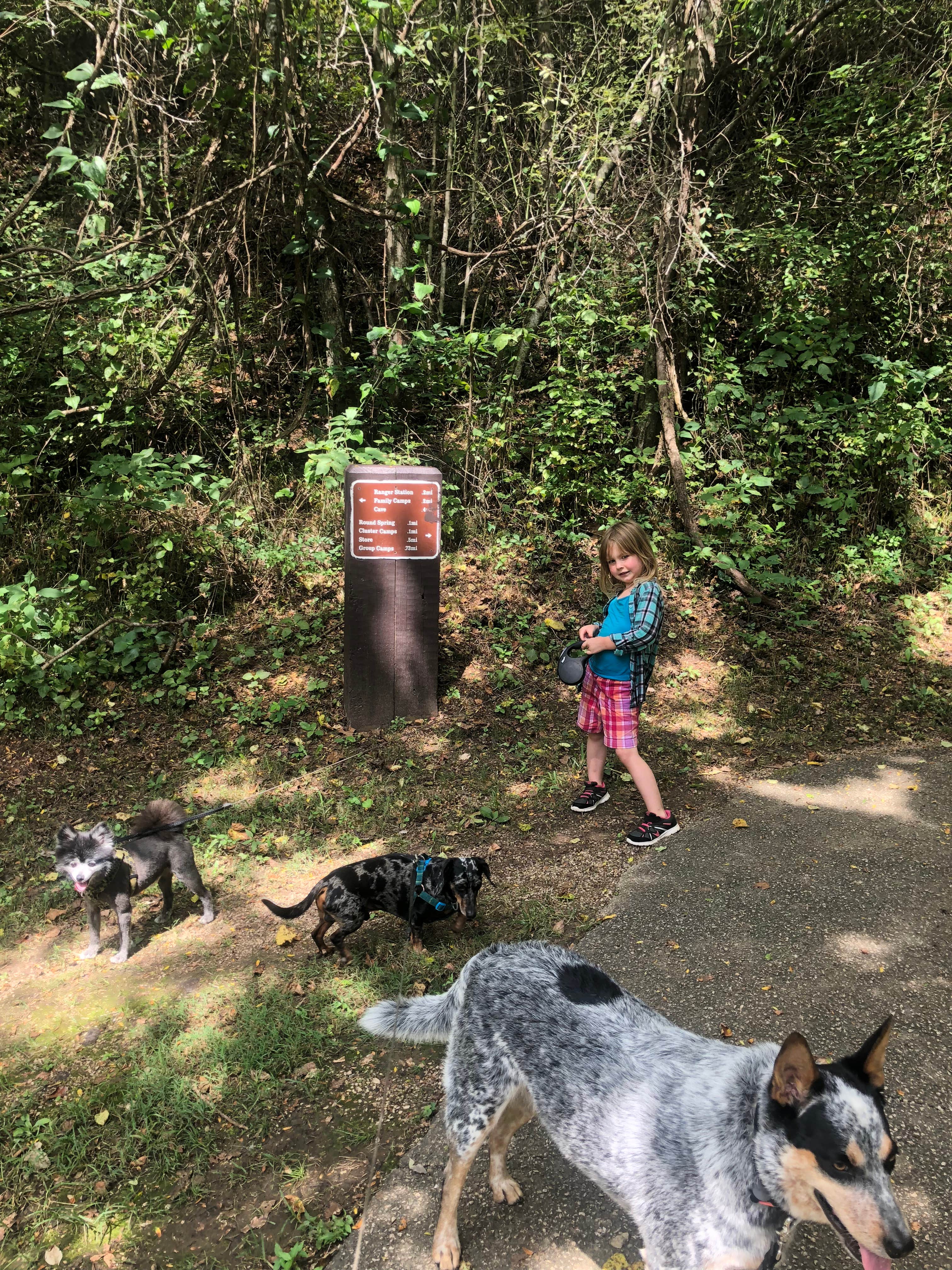 Shelly S.'s photo of camping with pets at Round Spring Campground — Ozark National Scenic Riverway near Mountain View, MO