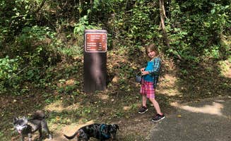Shelly S.'s photo of camping with pets at Round Spring Campground — Ozark National Scenic Riverway near Ellington, MO