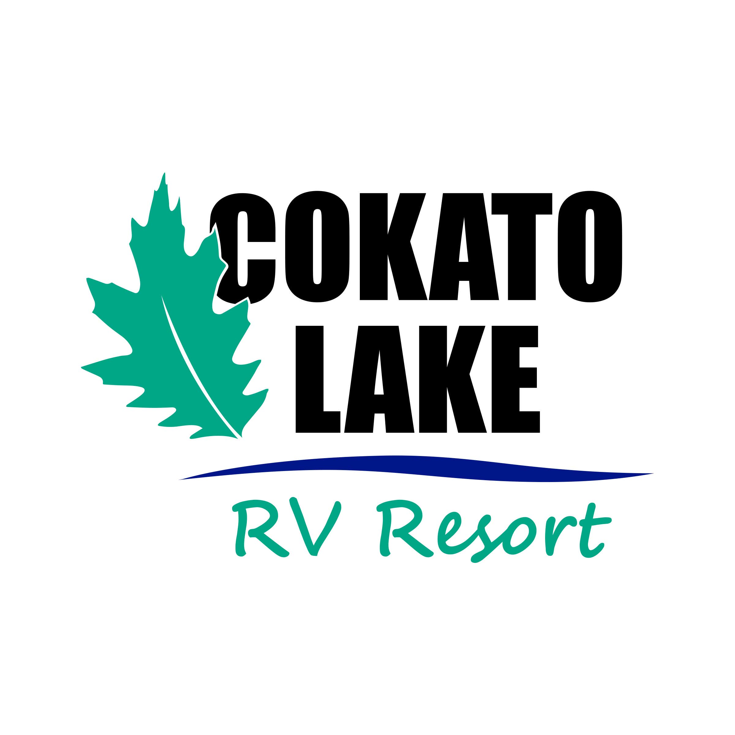 Camper-submitted photo at Cokato Lake RV Resort Cooperative Association near Plymouth, MN