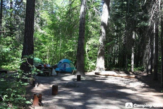 Tonya T.'s photo at Wenatchee National Forest Swauk Campground near Okanogan-Wenatchee National Forest