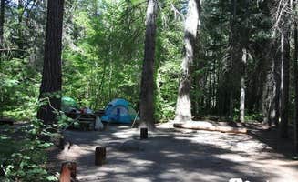 Tonya T.'s photo at Wenatchee National Forest Swauk Campground near Okanogan-Wenatchee National Forest