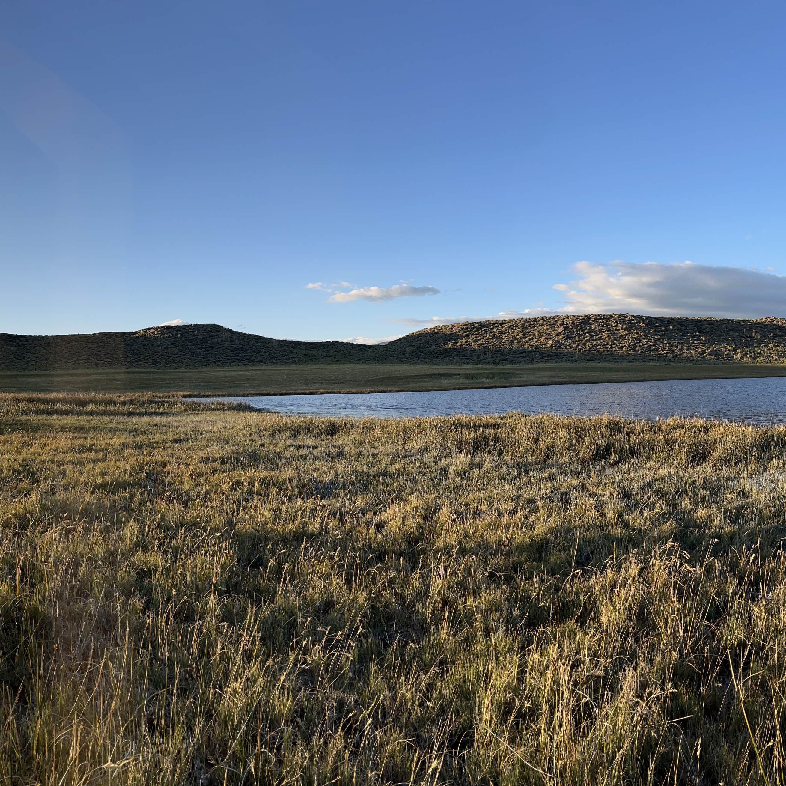 Crab Cooker Hotsprings - Dispersed Camping | Mammoth Lakes, CA