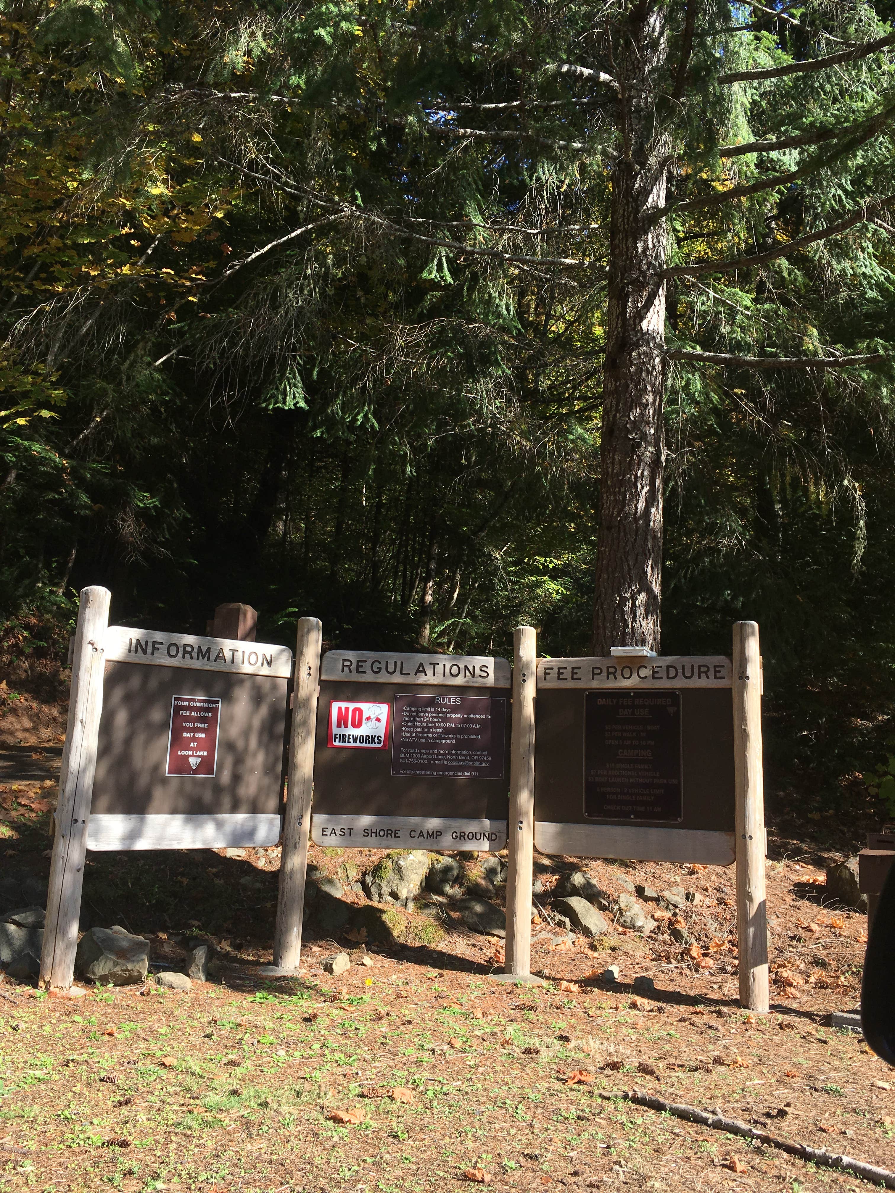 Camper-submitted photo at East Shore near Scottsburg, OR