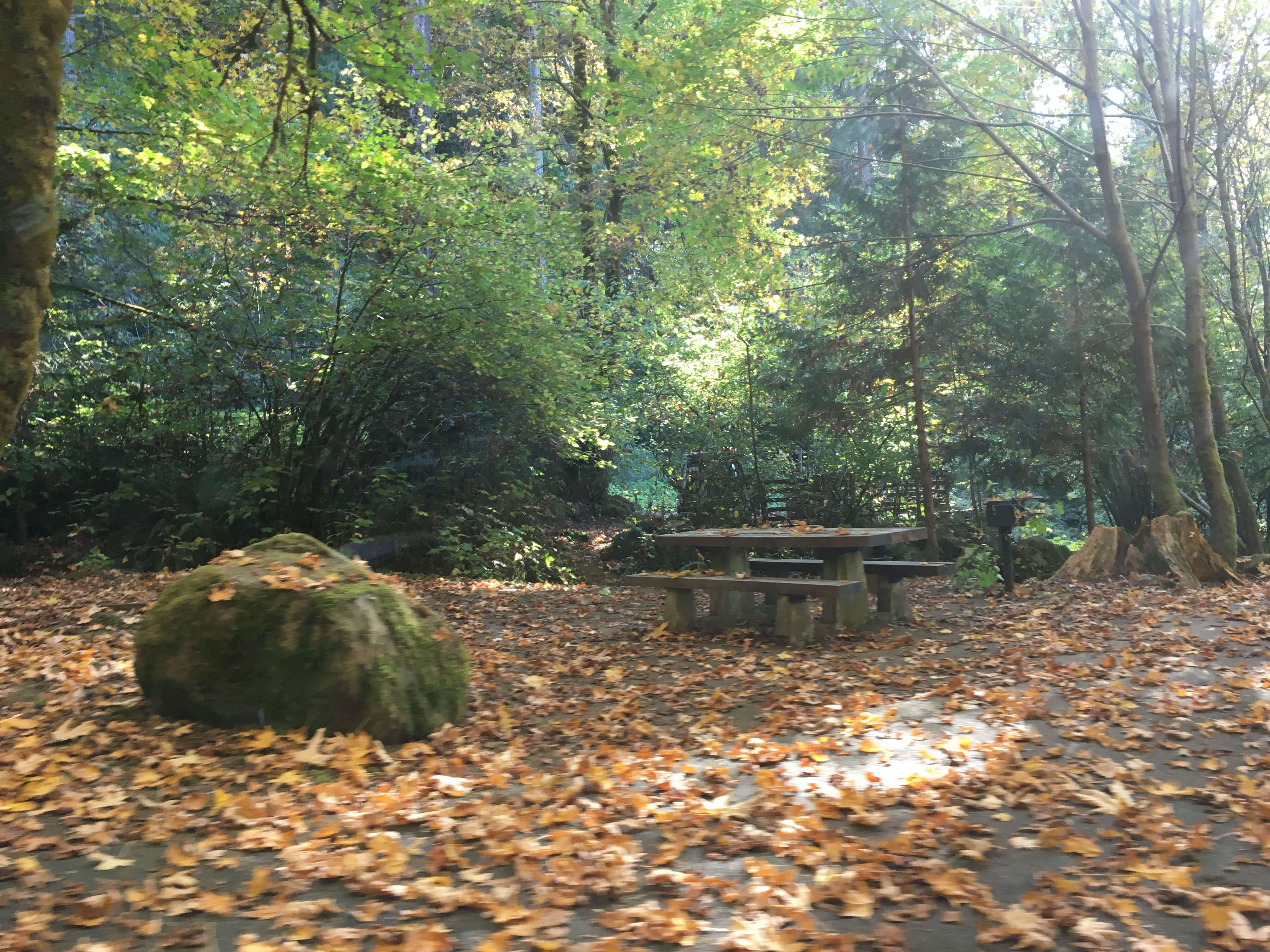 Camper-submitted photo at East Shore near Scottsburg, OR