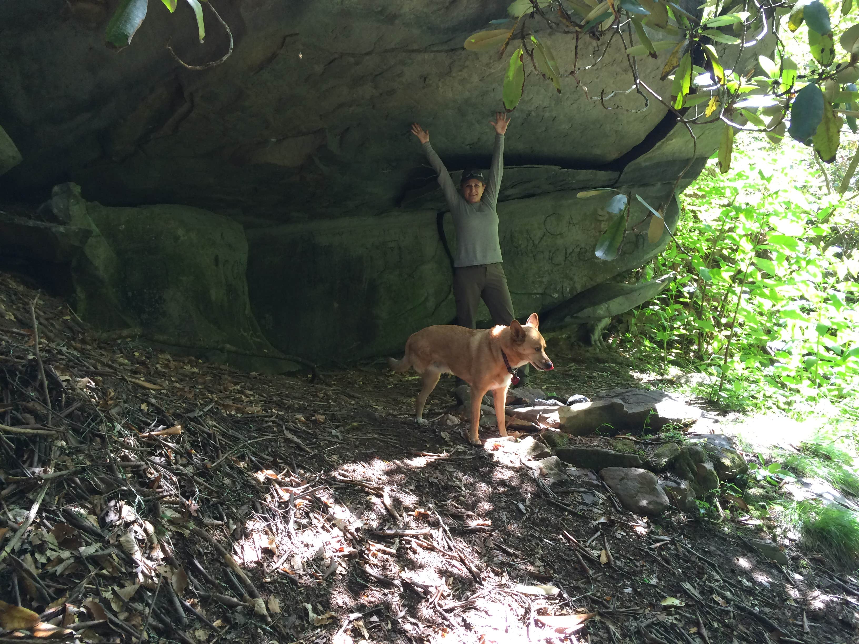 Carolyn S.'s photo of camping with pets at Fall Getaway for up to 15 people at the Private, Tri-mountain Retreat in Beautiful Ellijay, Georgia near Chattahoochee-Oconee National Forest