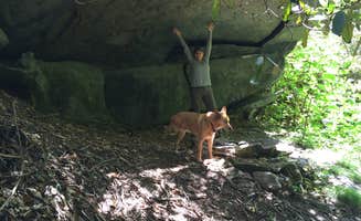 Carolyn S.'s photo of camping with pets at Fall Getaway for up to 15 people at the Private, Tri-mountain Retreat in Beautiful Ellijay, Georgia near Chattahoochee-Oconee National Forest