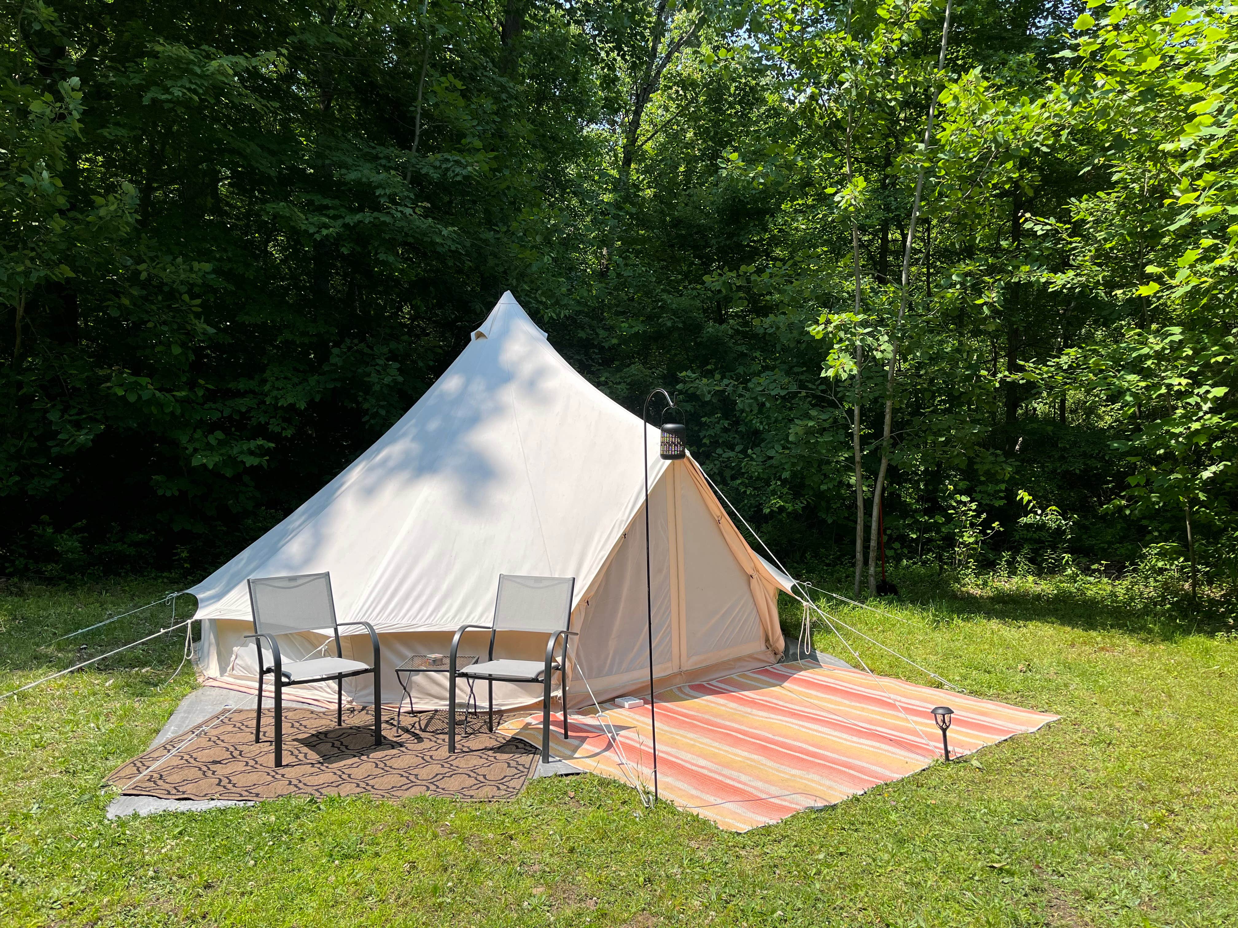Camper submitted image from Camp at Farm in the Woods - 2