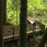 Review photo of Fairholme Campground — Olympic National Park by Anthony S., October 31, 2018