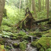 Review photo of Fairholme Campground — Olympic National Park by Anthony S., October 31, 2018