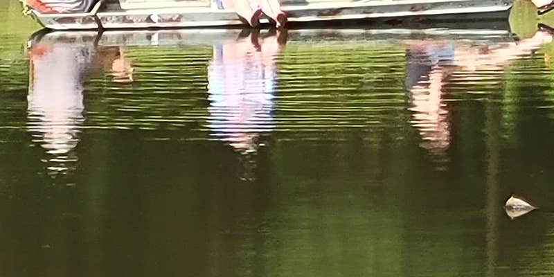 Camper submitted image from Natures Paradise RV Community LLC - 55+