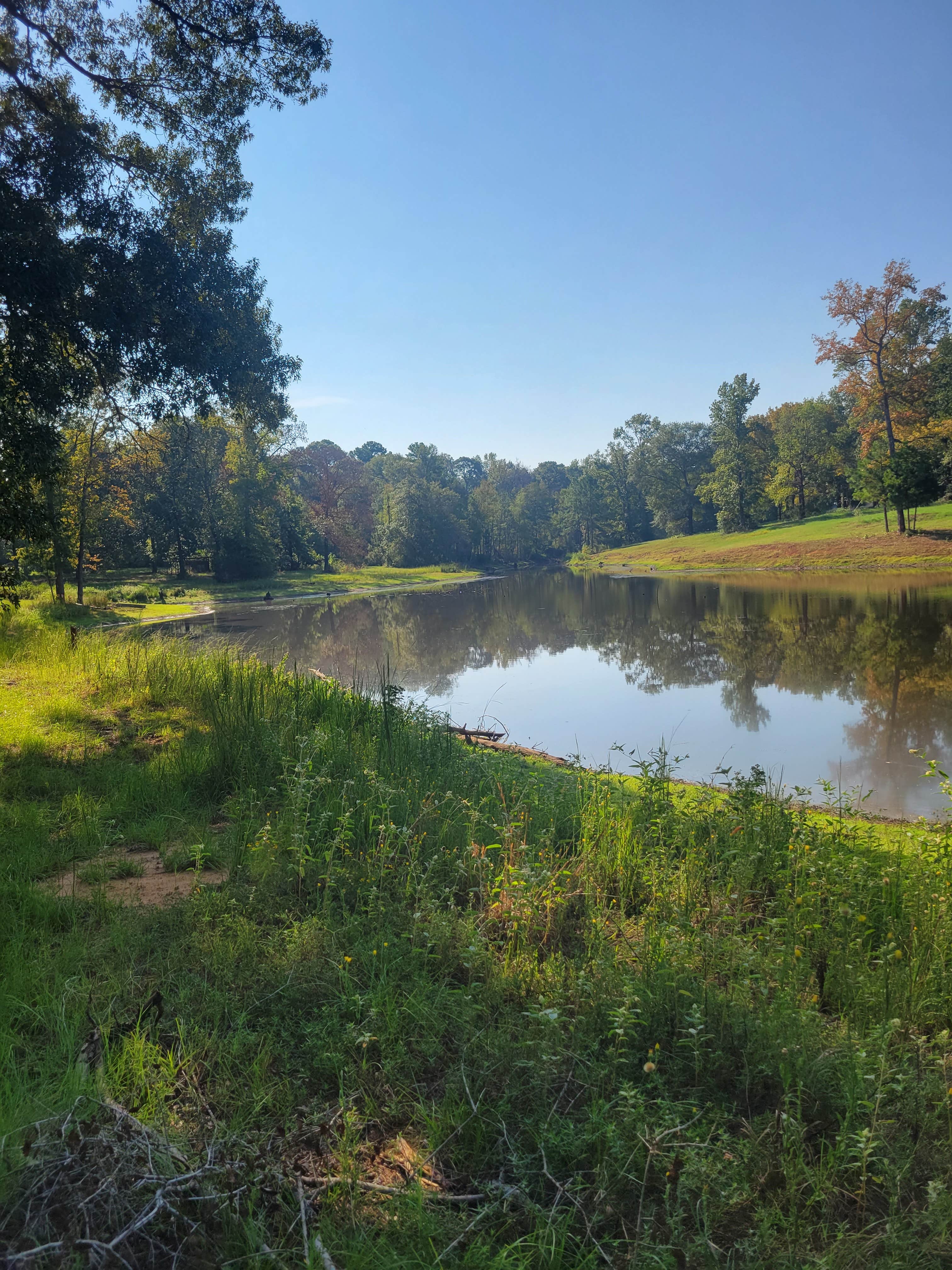 Camper-submitted photo at Natures Paradise RV Community LLC  - 55+ near Grapeland, TX