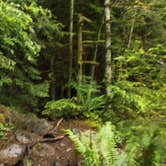 Review photo of Fairholme Campground — Olympic National Park by Anthony S., October 31, 2018