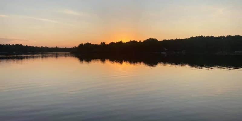 Camper submitted image from Rose's Enchanted Forest Campground