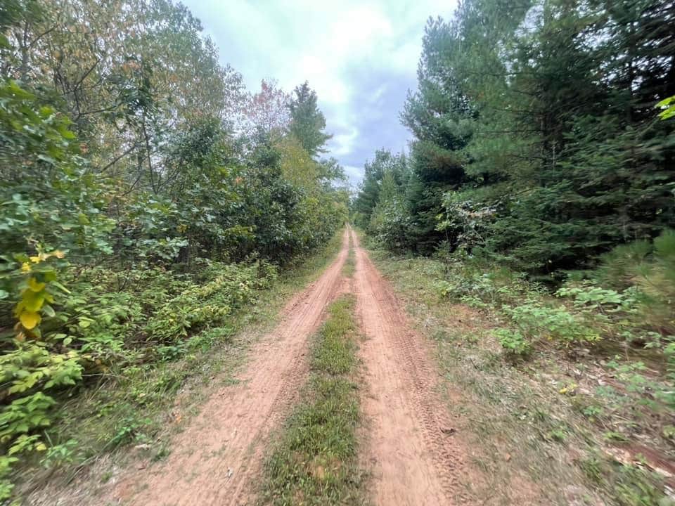 Camper-submitted photo at Rose's Enchanted Forest Campground near Waupaca, WI