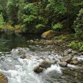 Review photo of Fairholme Campground — Olympic National Park by Anthony S., October 31, 2018