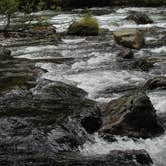 Review photo of Fairholme Campground — Olympic National Park by Anthony S., October 31, 2018