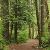 Review photo of Fairholme Campground — Olympic National Park by Anthony S., October 31, 2018