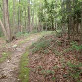 Review photo of Babcock State Park Campground by Sarah C., September 29, 2023