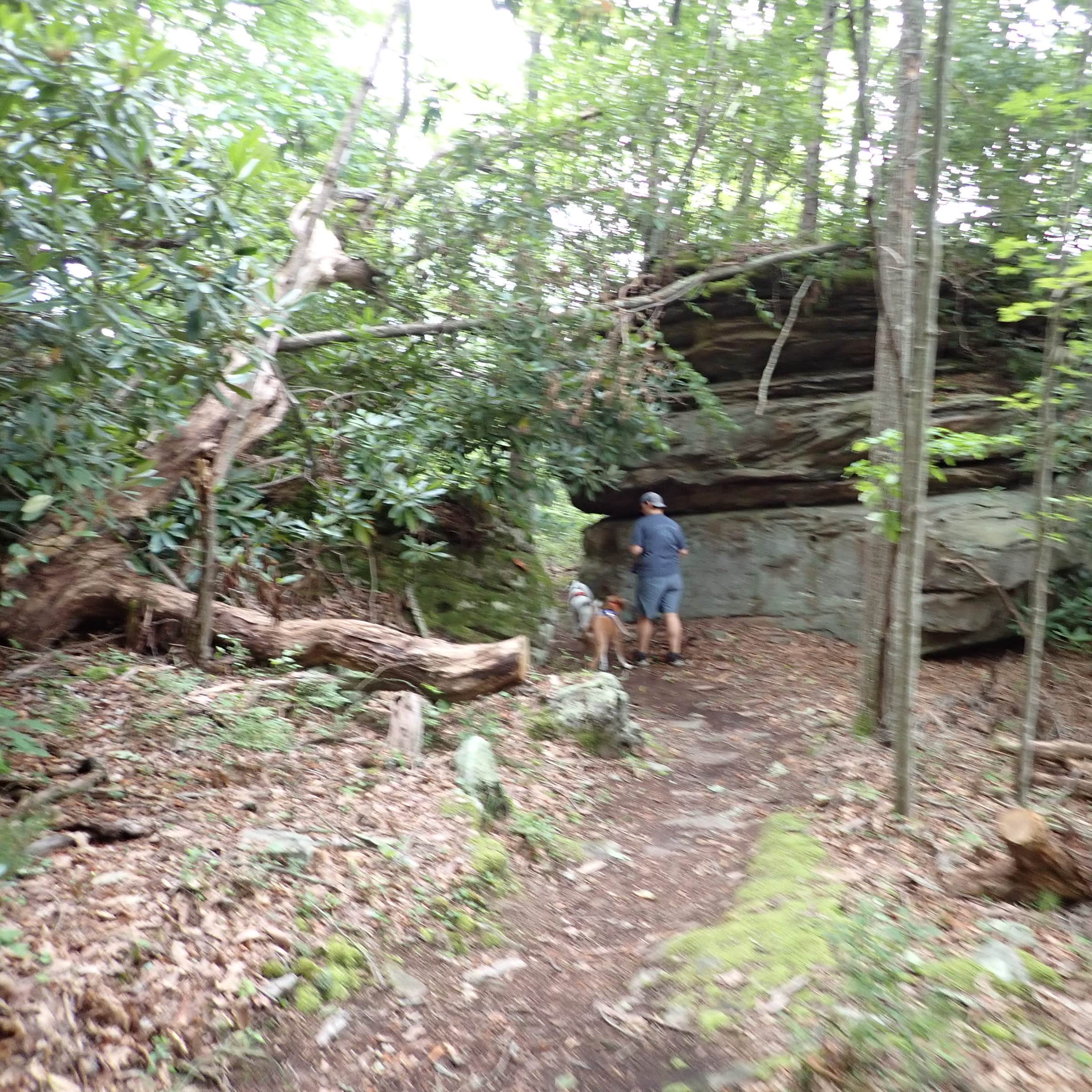 Babcock State Park Campground | Winona, West Virginia