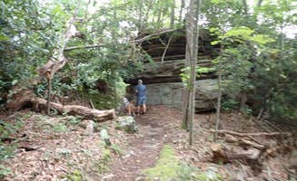 Sarah C.'s photo of camping with pets at Babcock State Park Campground near Camden-on-Gauley, WV