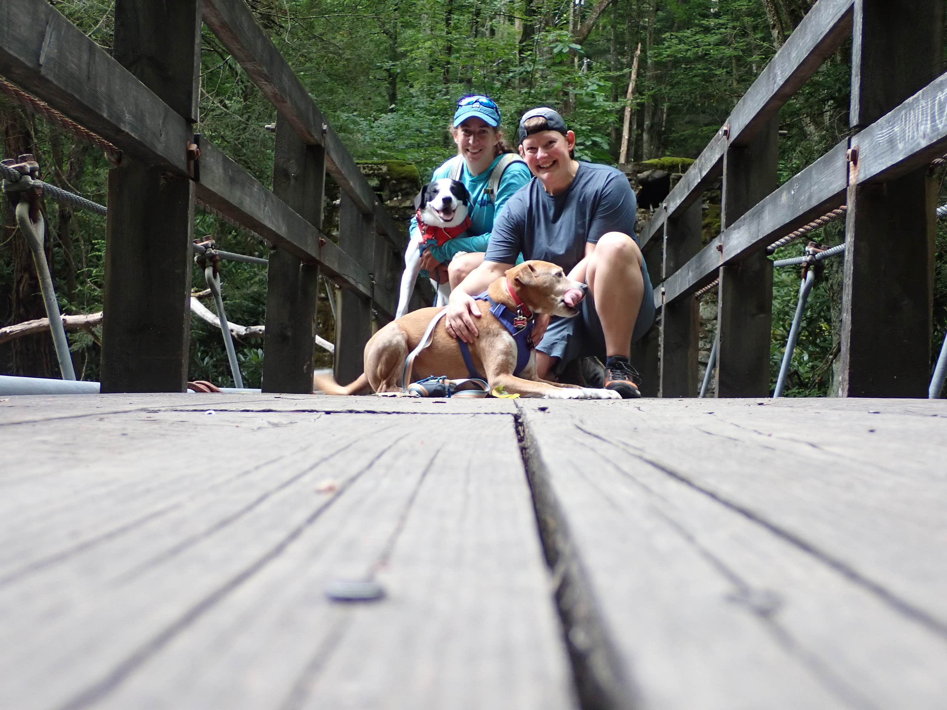 Sarah C.'s photo of camping with pets at Babcock State Park Campground near Lookout, WV