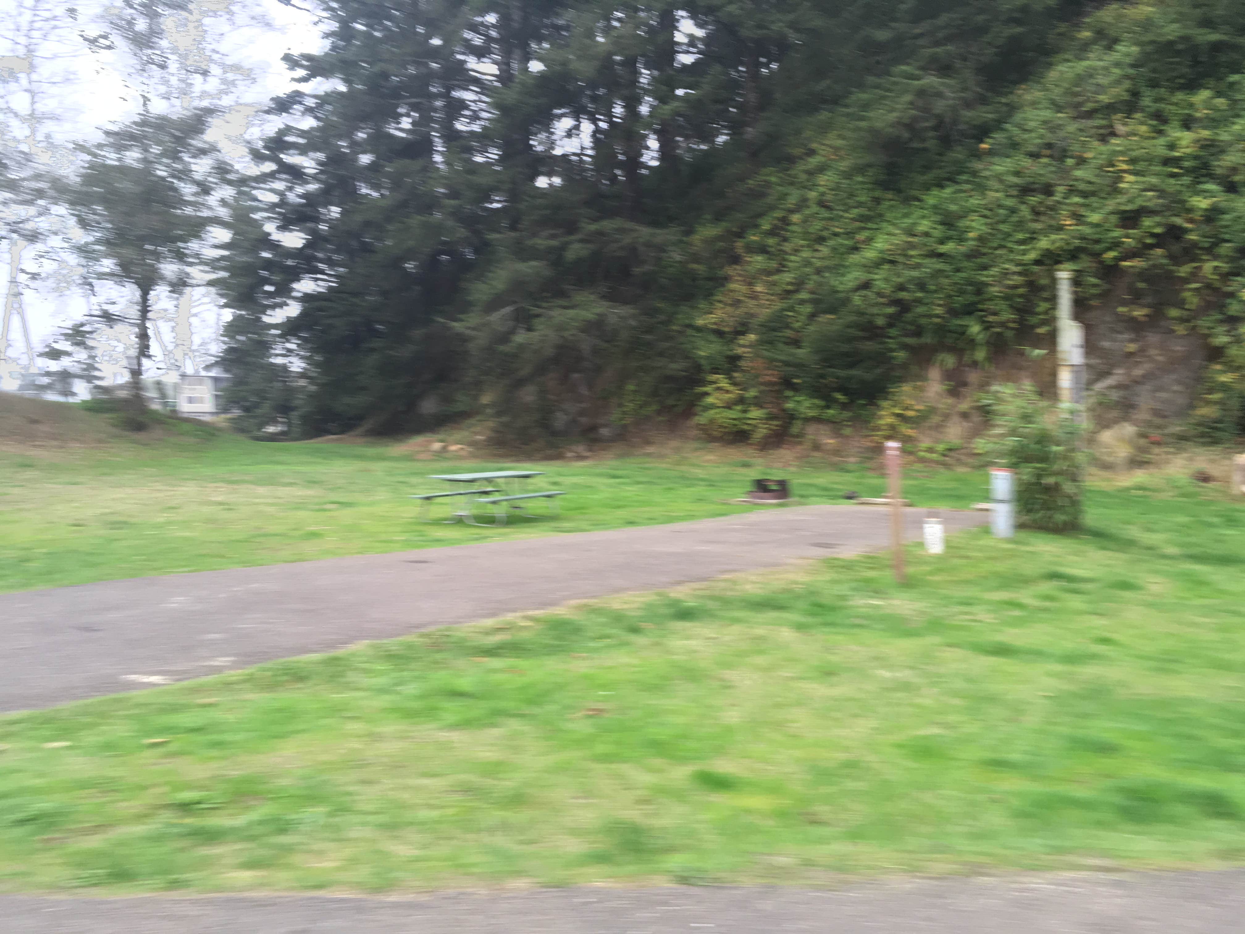 Camper submitted image from Windy Cove Campground (Section A) - 2