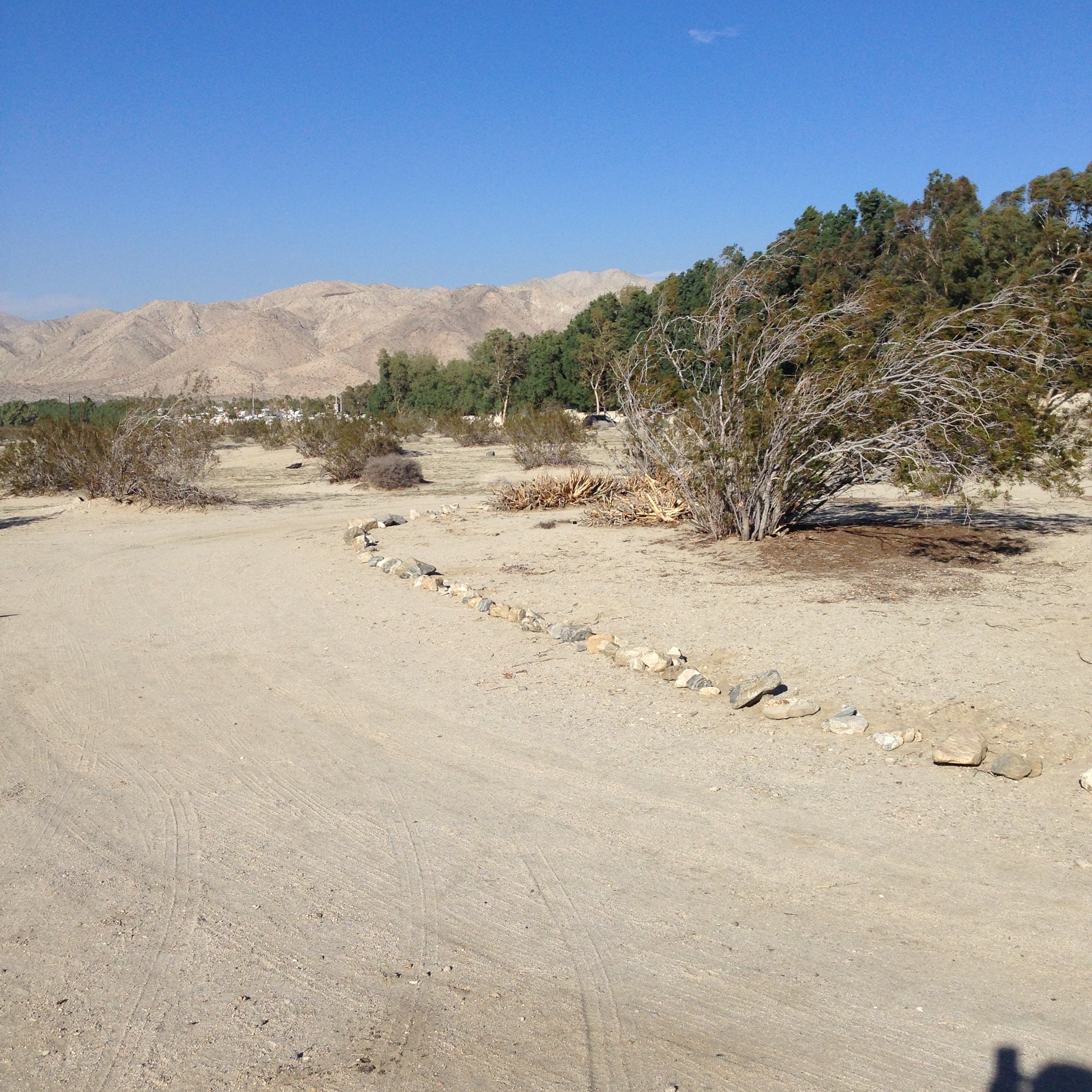 Camper submitted image from Joshua Tree, Palm Springs, Coachella Adjacent - 1