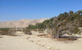 Camping near Happy Traveler RV Park: Joshua Tree, Palm Springs, Coachella Adjacent, Desert Hot Springs, California