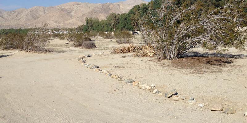 Camper submitted image from Joshua Tree, Palm Springs, Coachella Adjacent