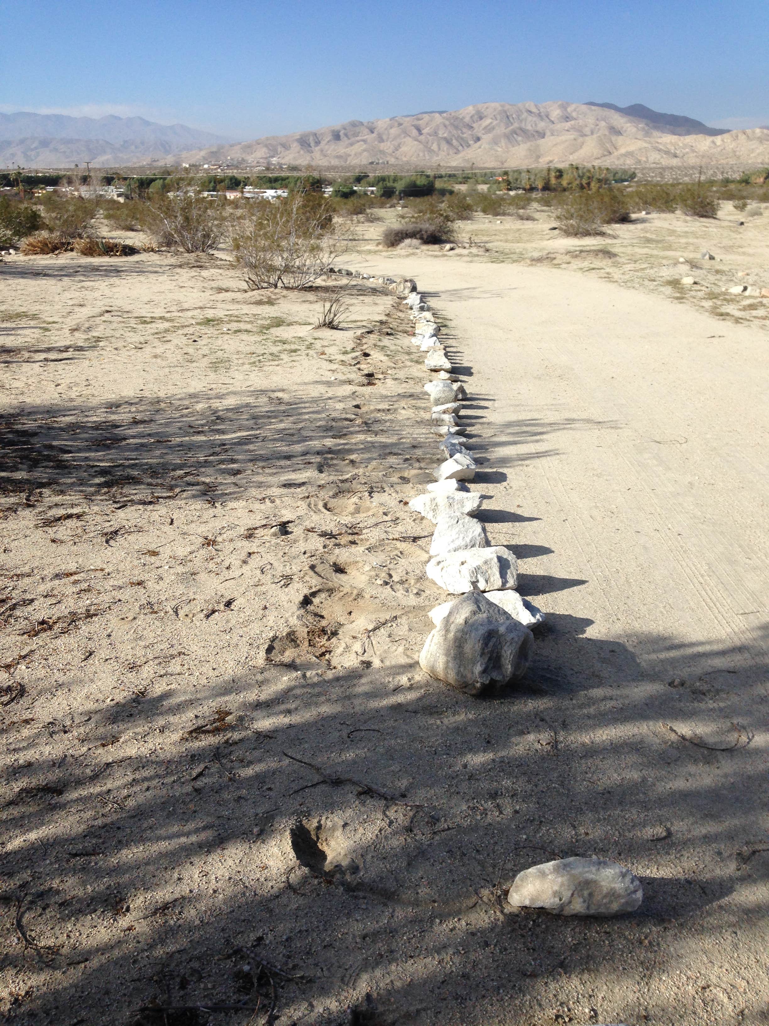 Camper submitted image from Joshua Tree, Palm Springs, Coachella Adjacent - 2