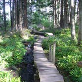 Review photo of Mora Campground — Olympic National Park by Anthony S., October 31, 2018