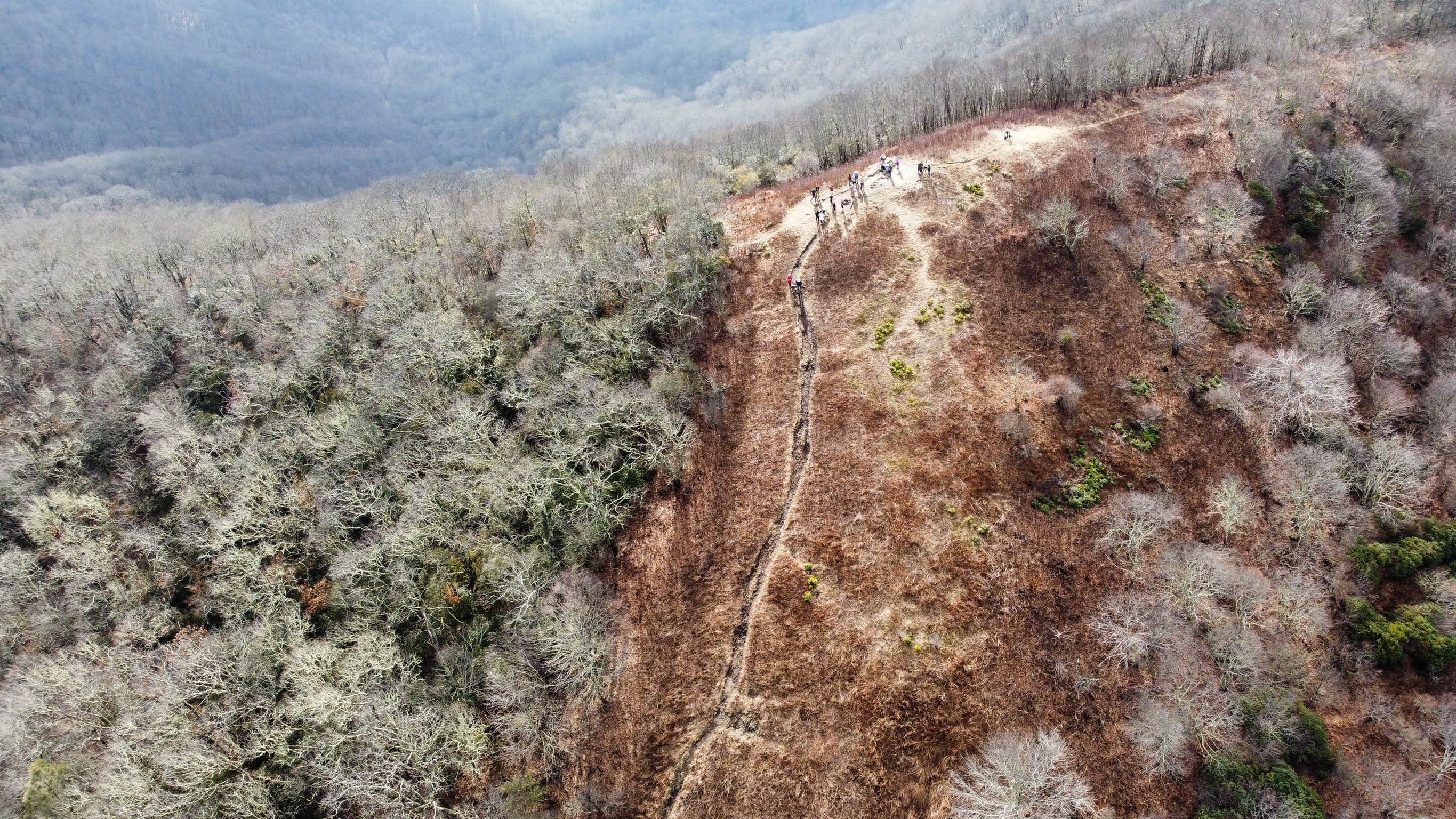 Camper-submitted photo at Siler Bald near Nantahala National Forest