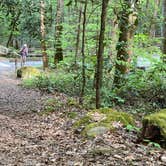 Review photo of Big Creek Campground — Great Smoky Mountains National Park by Asher K., October 1, 2023