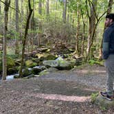 Review photo of Big Creek Campground — Great Smoky Mountains National Park by Asher K., October 1, 2023