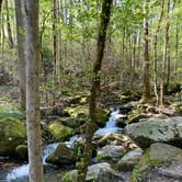 Review photo of Big Creek Campground — Great Smoky Mountains National Park by Asher K., October 1, 2023