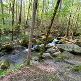 Review photo of Big Creek Campground — Great Smoky Mountains National Park by Asher K., October 1, 2023