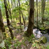 Review photo of Big Creek Campground — Great Smoky Mountains National Park by Asher K., October 1, 2023