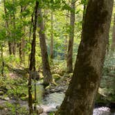 Review photo of Big Creek Campground — Great Smoky Mountains National Park by Asher K., October 1, 2023