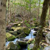 Review photo of Big Creek Campground — Great Smoky Mountains National Park by Asher K., October 1, 2023