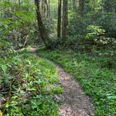 Review photo of Big Creek Campground — Great Smoky Mountains National Park by Asher K., October 1, 2023