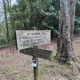 Review photo of Big Creek Campground — Great Smoky Mountains National Park by Asher K., October 1, 2023