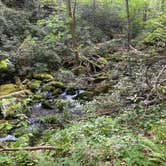 Review photo of Big Creek Campground — Great Smoky Mountains National Park by Asher K., October 1, 2023